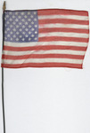 United States Flag by none